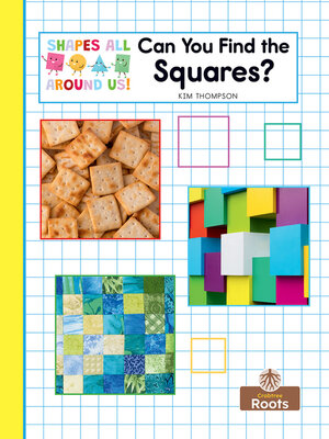 cover image of Can You Find the Squares?